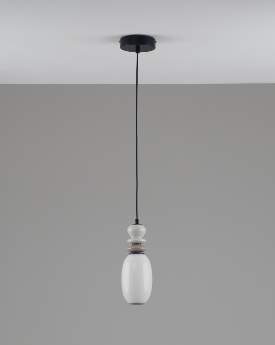 V11699-PL