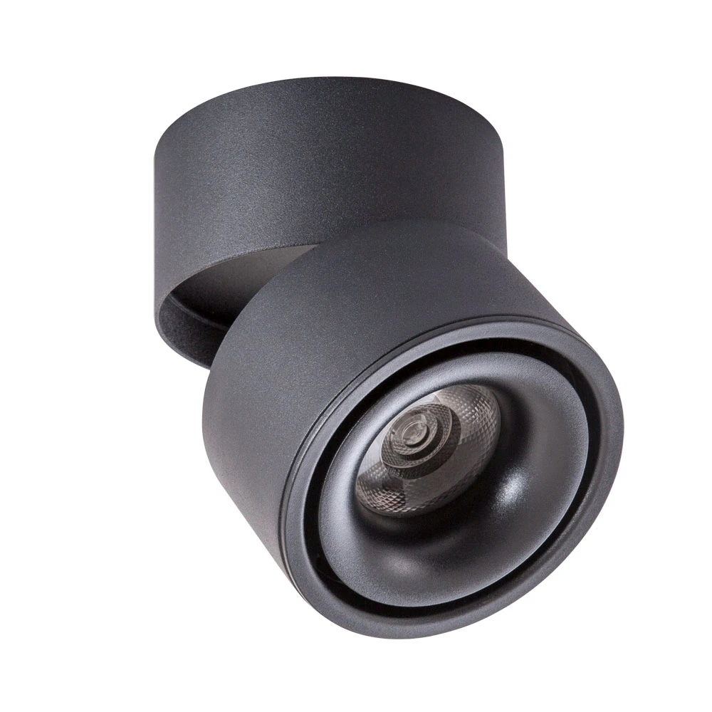 A7715PL-1BK Arte Lamp