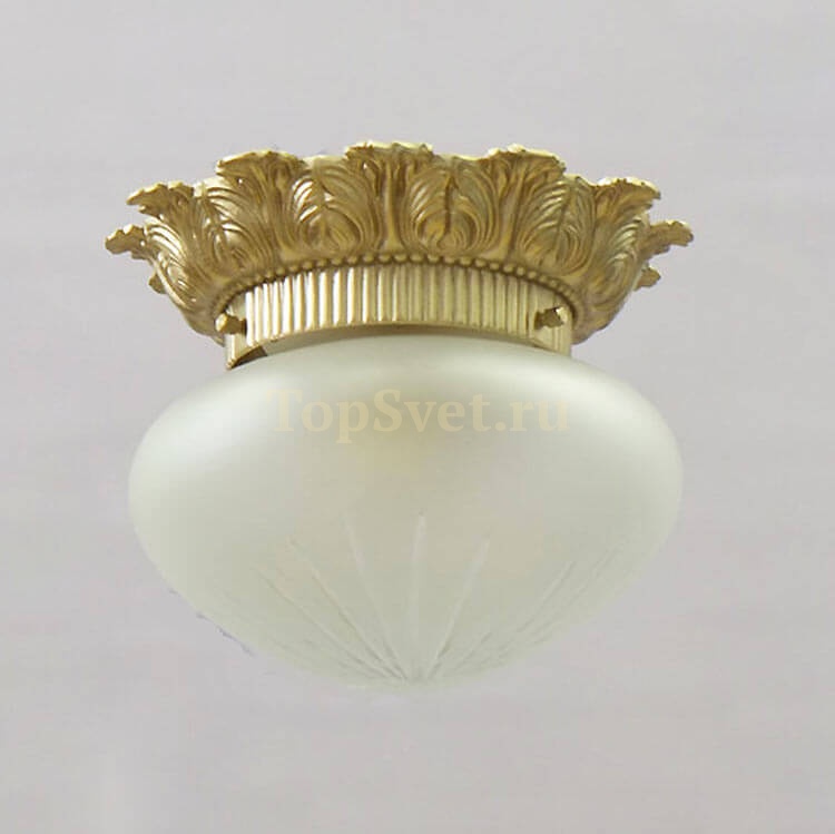 0580/1 CHAMPAGNE Nervilamp