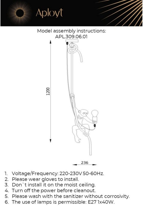 APL.309.06.01