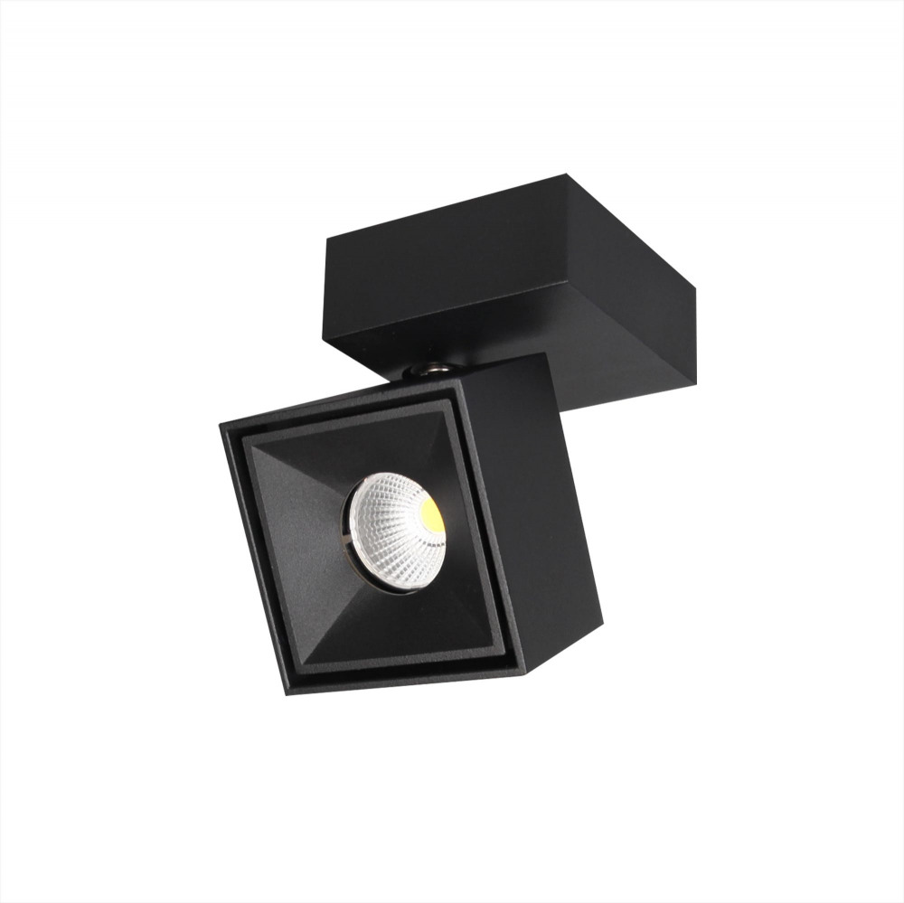 CL558021N Citilux