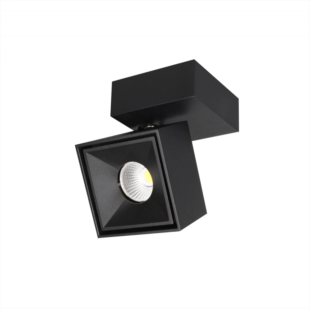 CL558021N Citilux