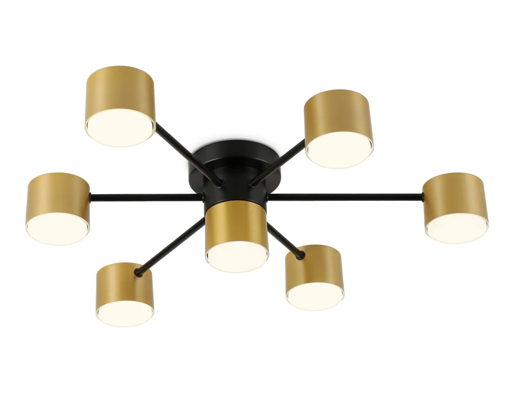 FL51726 Ambrella