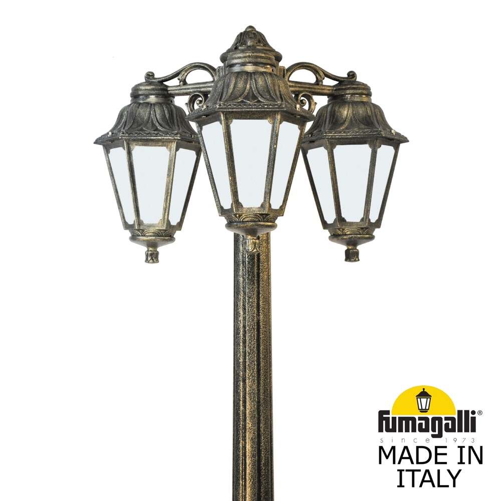 E22.156.S30.BYF1RDN Fumagalli