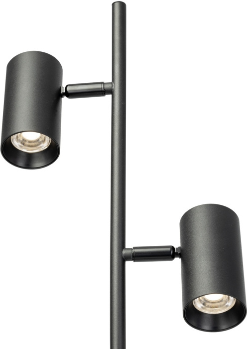 CL809011N Citilux