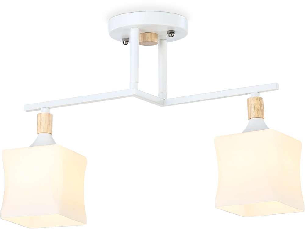 TR9484 Ambrella