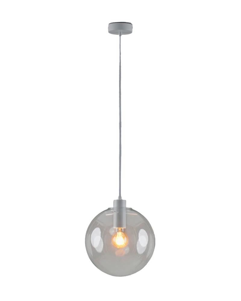 V11548-1P Moderli