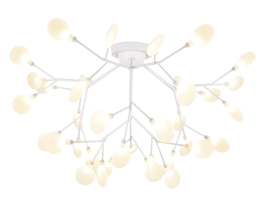 TR3018 Ambrella