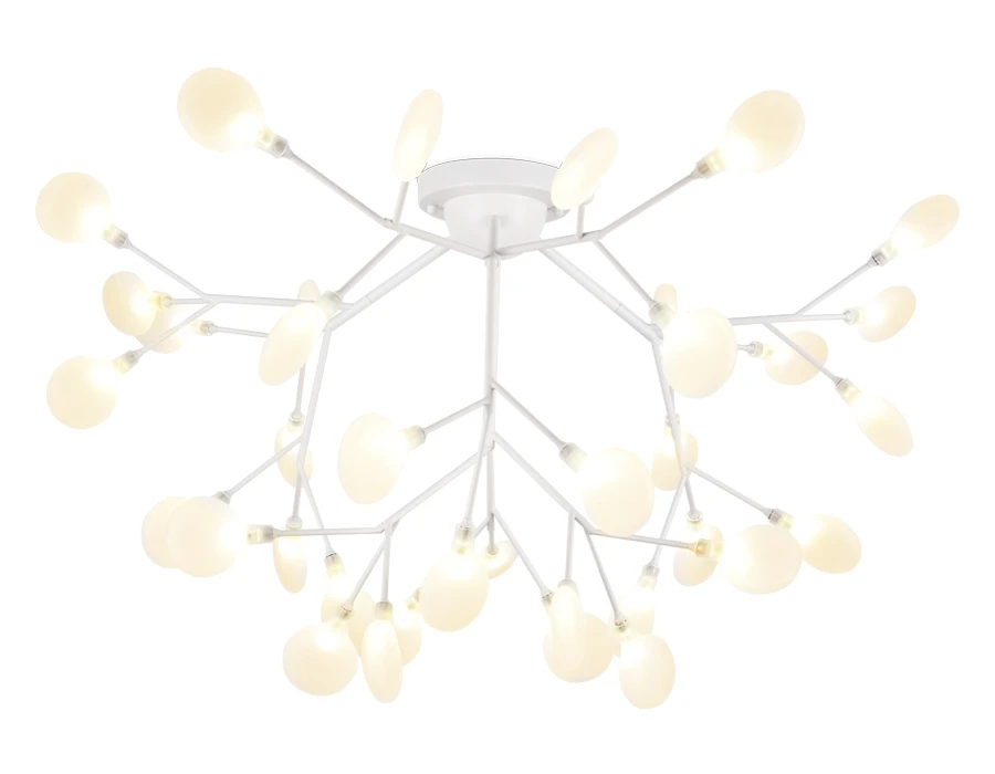 TR3018 Ambrella