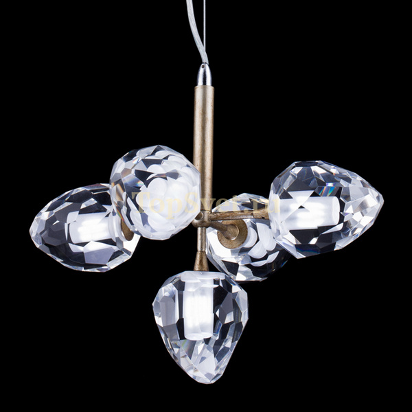 P68038M-5 gold Delight Collection