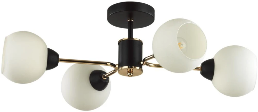 5646/4C Lumion