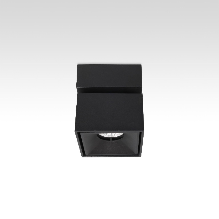 CL558021N Citilux