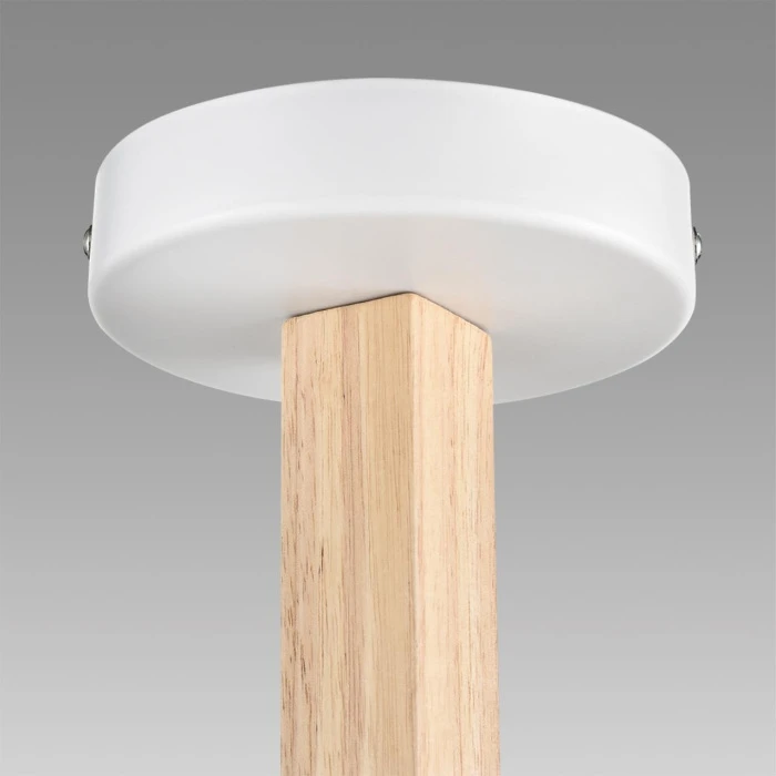 8095/6C Lumion