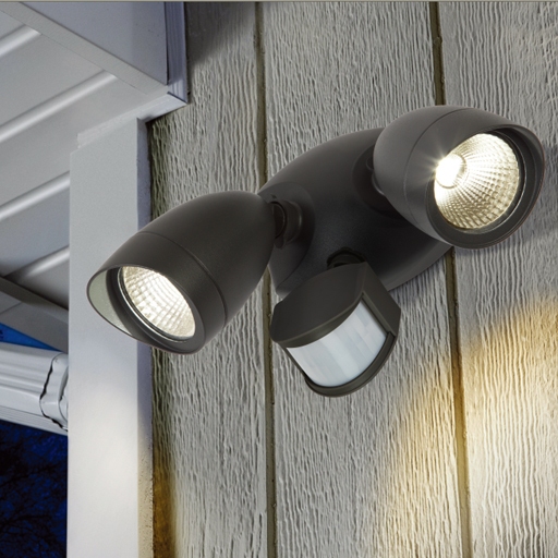 W6219A-PiR Bl Oasis Light