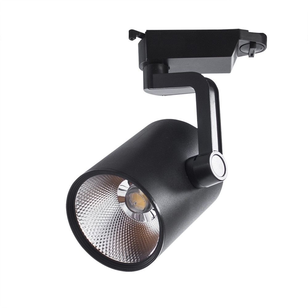 A2331PL-1BK Arte Lamp