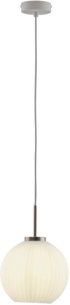 V11316-1P Moderli