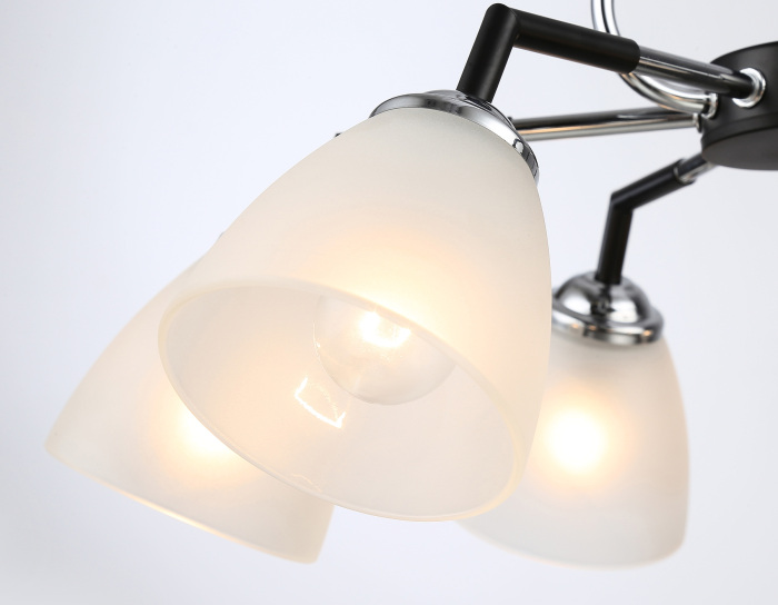 TR303294 Ambrella