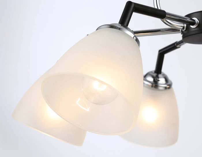 TR303294 Ambrella