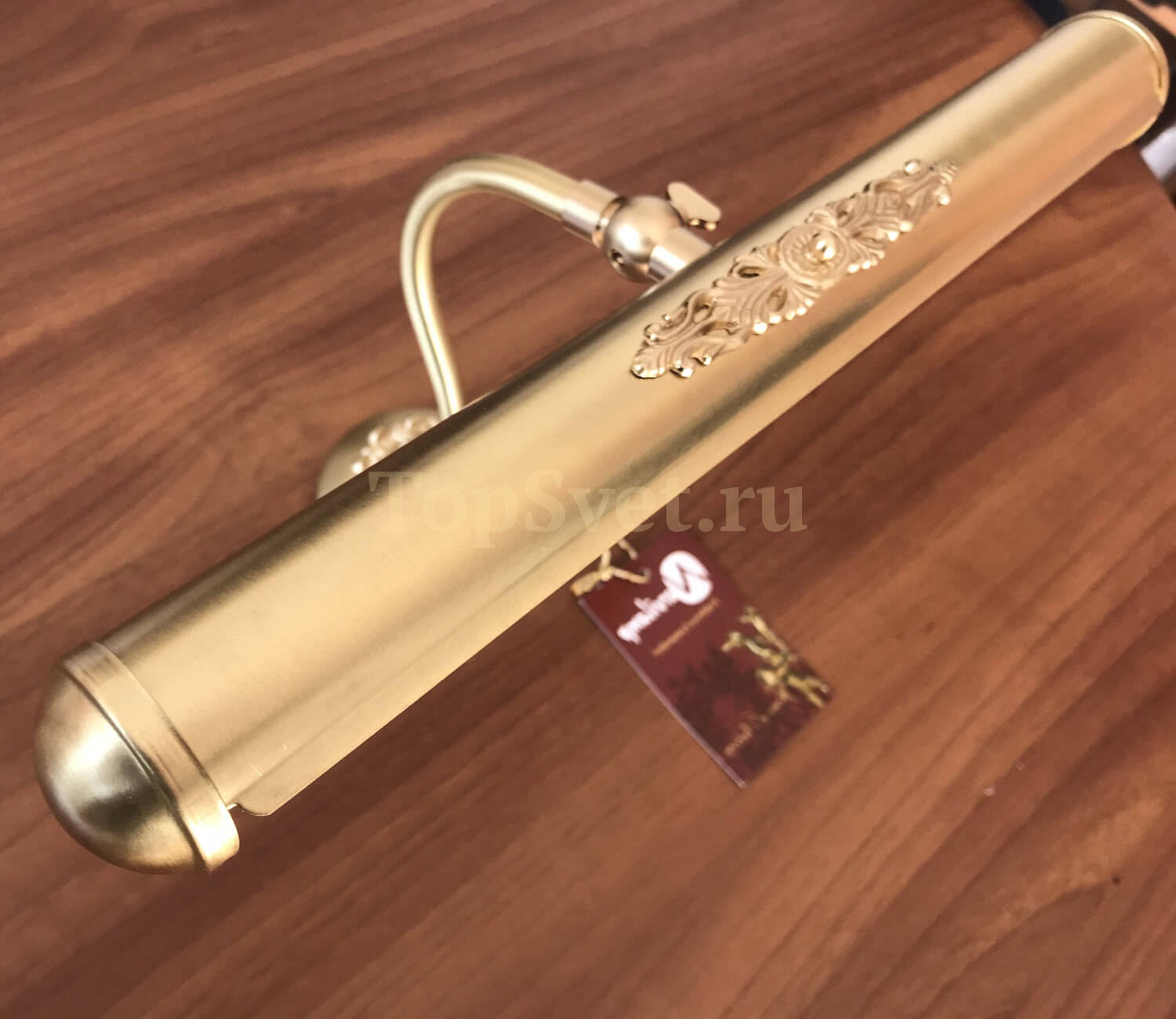 01006 CHAMPAGNE Nervilamp