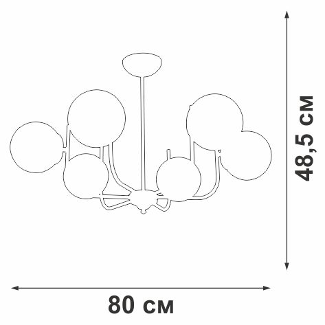 V39570-8/6PL Vitaluce
