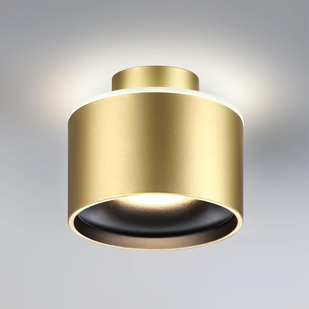 358972 Novotech
