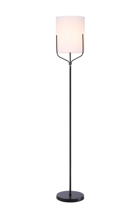V11852-1F Moderli