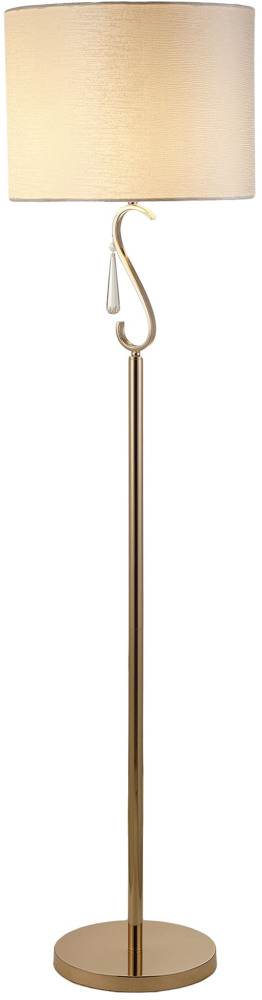 V10557-1F Moderli