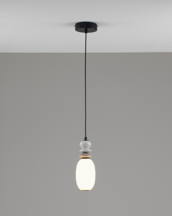 V11699-PL