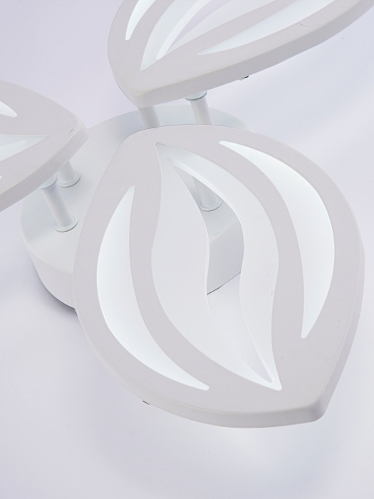 LED LAMPS 81456 Natali Kovaltseva