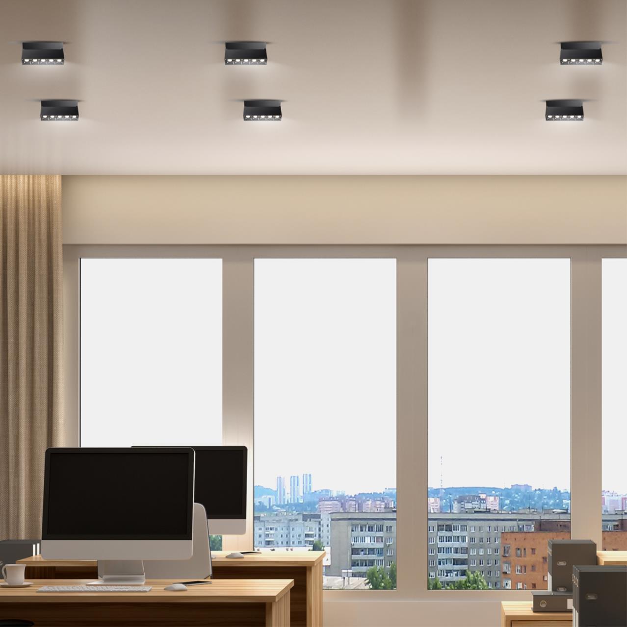 358323 Novotech