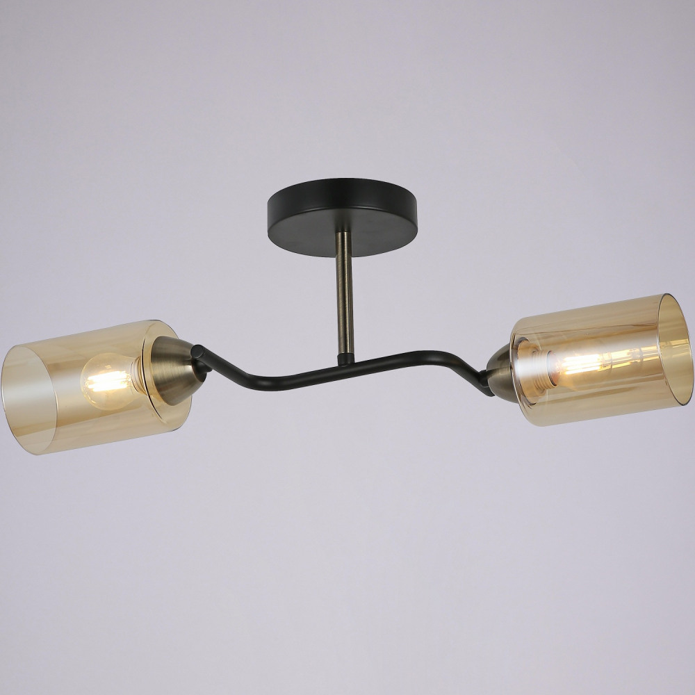 IL8148-2COU-79 BK BR Bice 