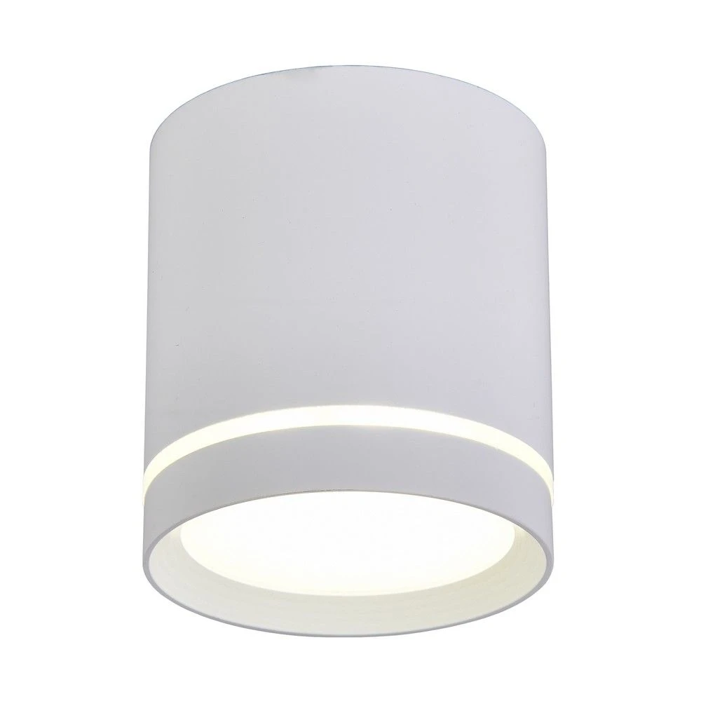 OML-102409-05 Omnilux