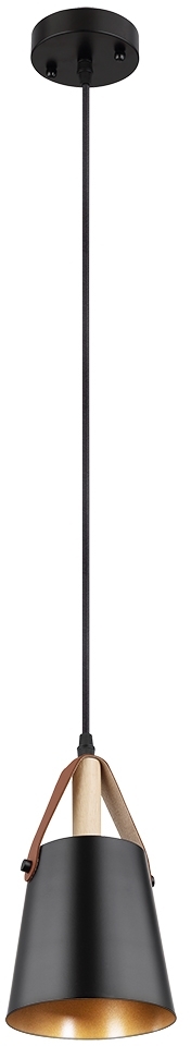 A7032SP-1BK Arte Lamp