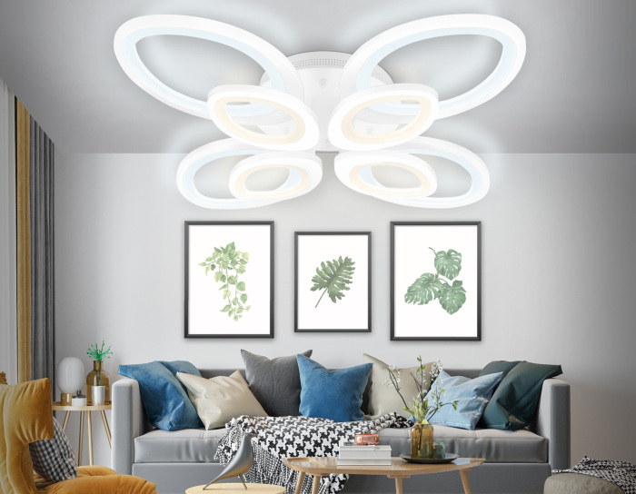 FA4493 Ambrella