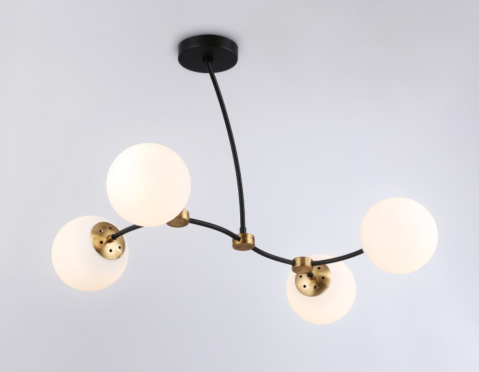 TR2544 Ambrella