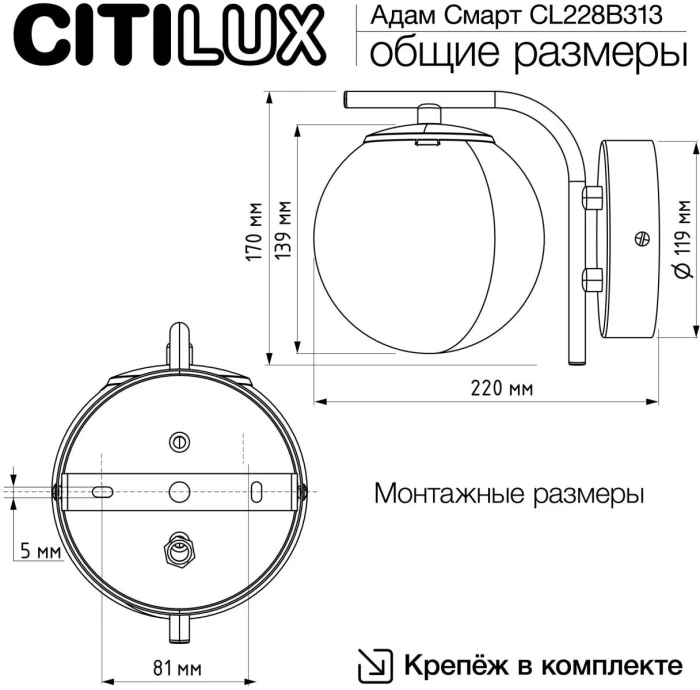 CL228B313 Citilux