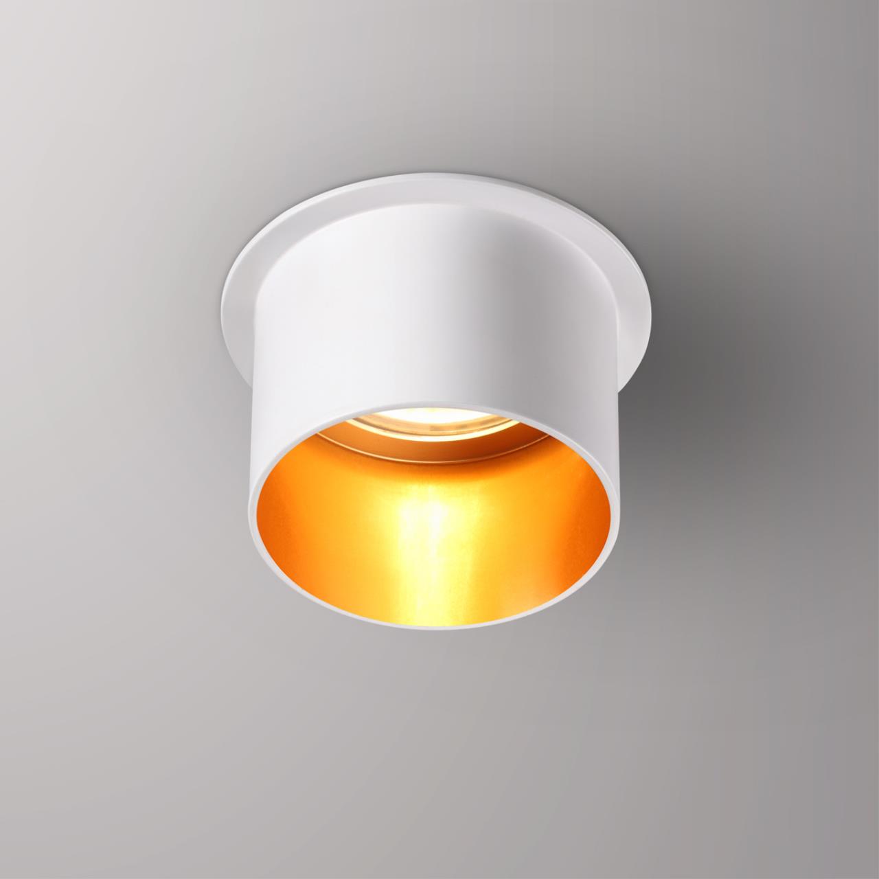 370432 Novotech