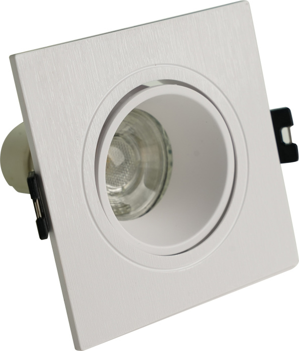 BR07063 Brizzi