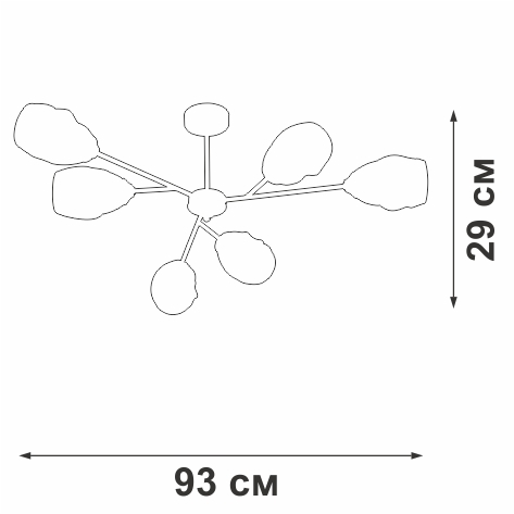 V3958-1/6PL Vitaluce