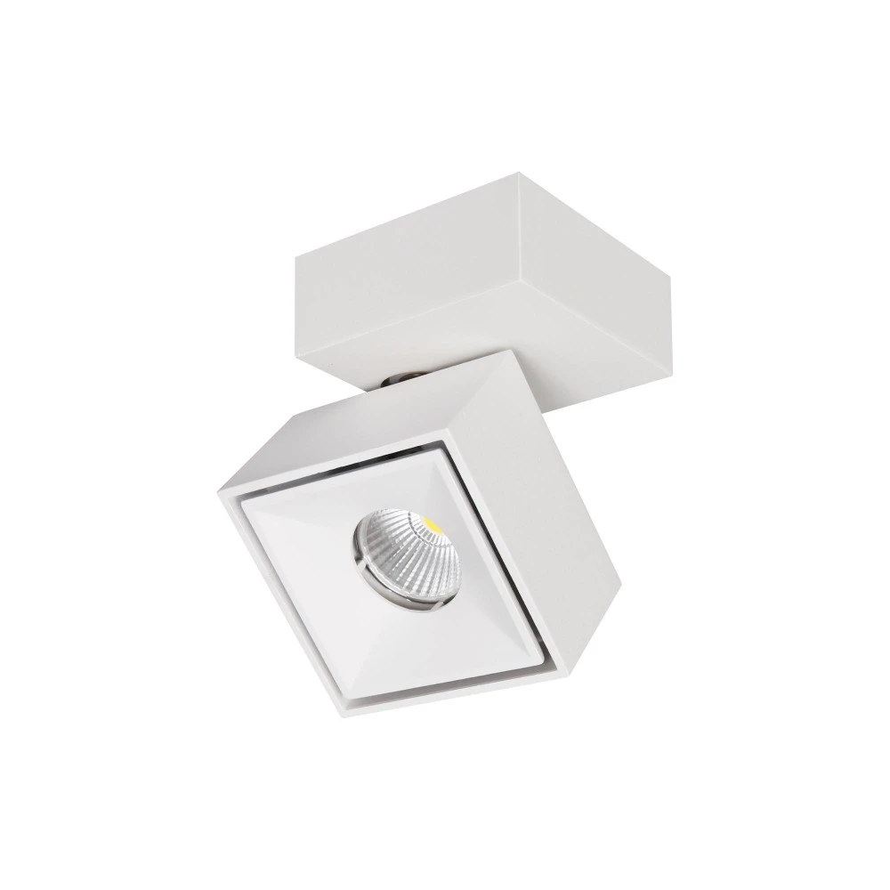 CL558020N Citilux