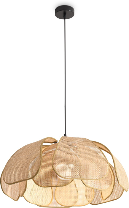 FR5529PL-01B