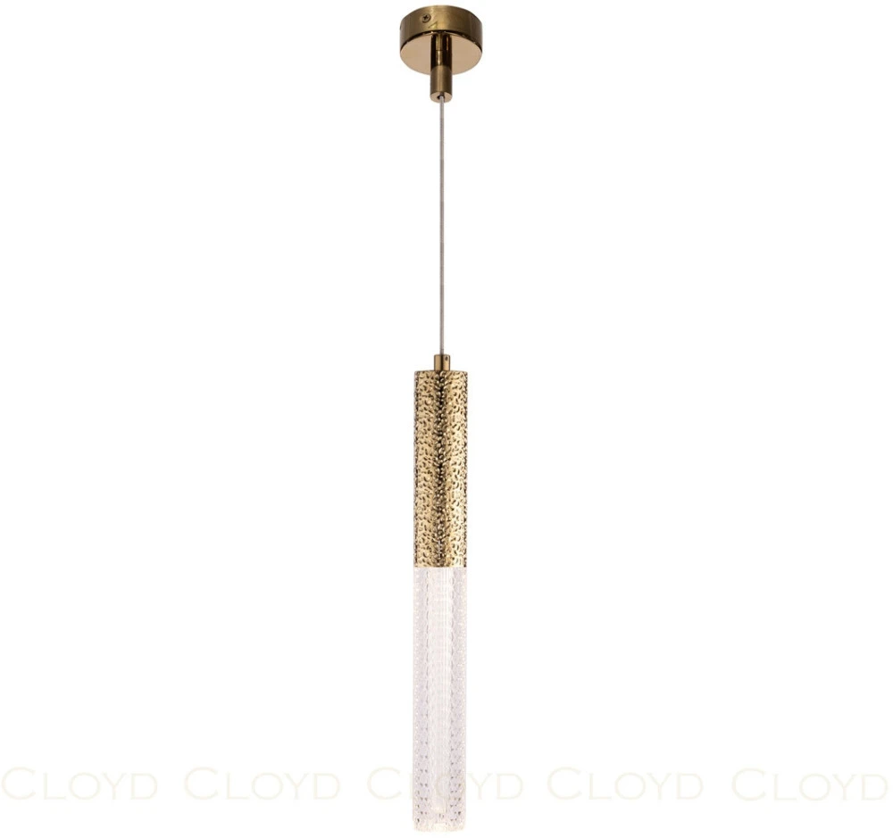 10669 Cloyd