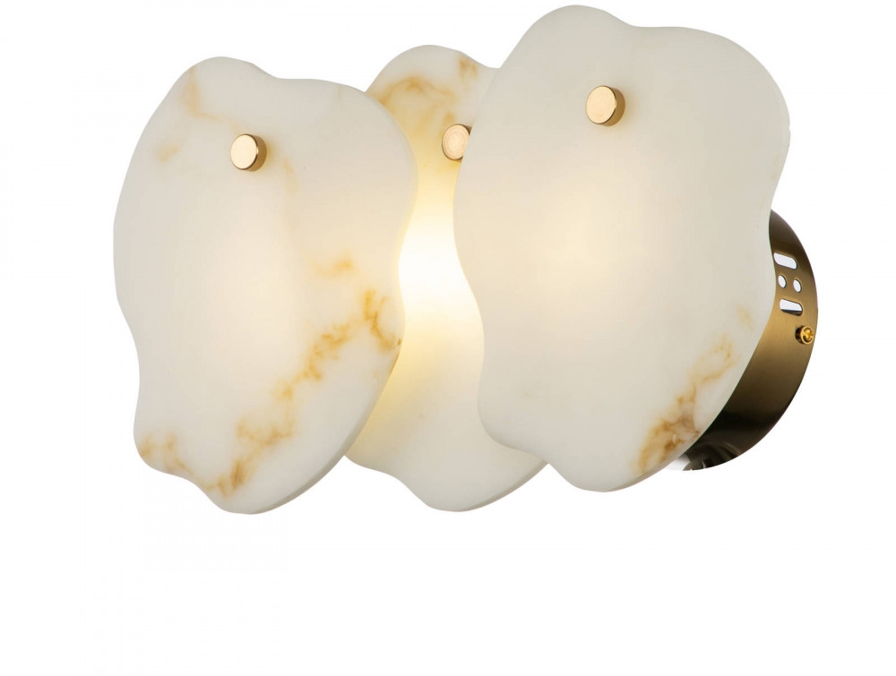 V8092-WL Moderli