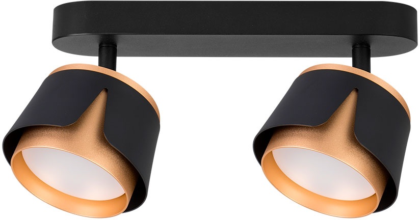 A8028PL-2BK Arte Lamp