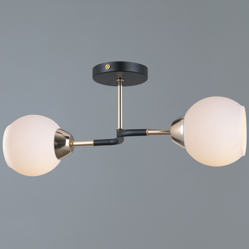 IL0689-2CSQ-24 BK FGD LIBRA 