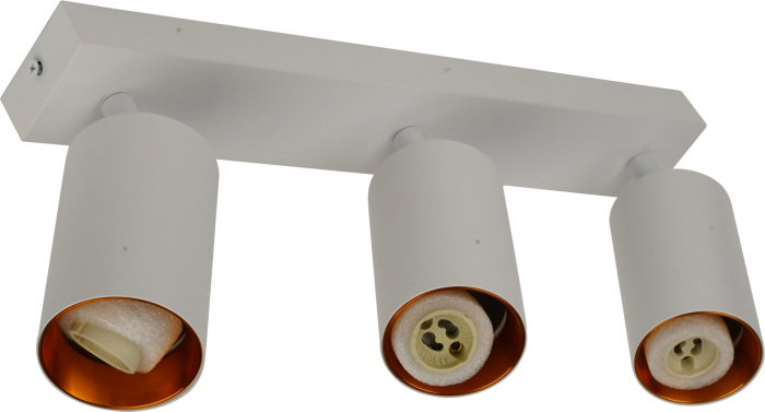 BR08088 Brizzi