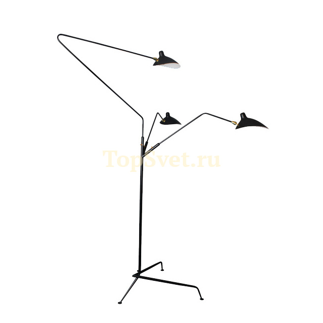 TF8505-3 black Delight Collection
