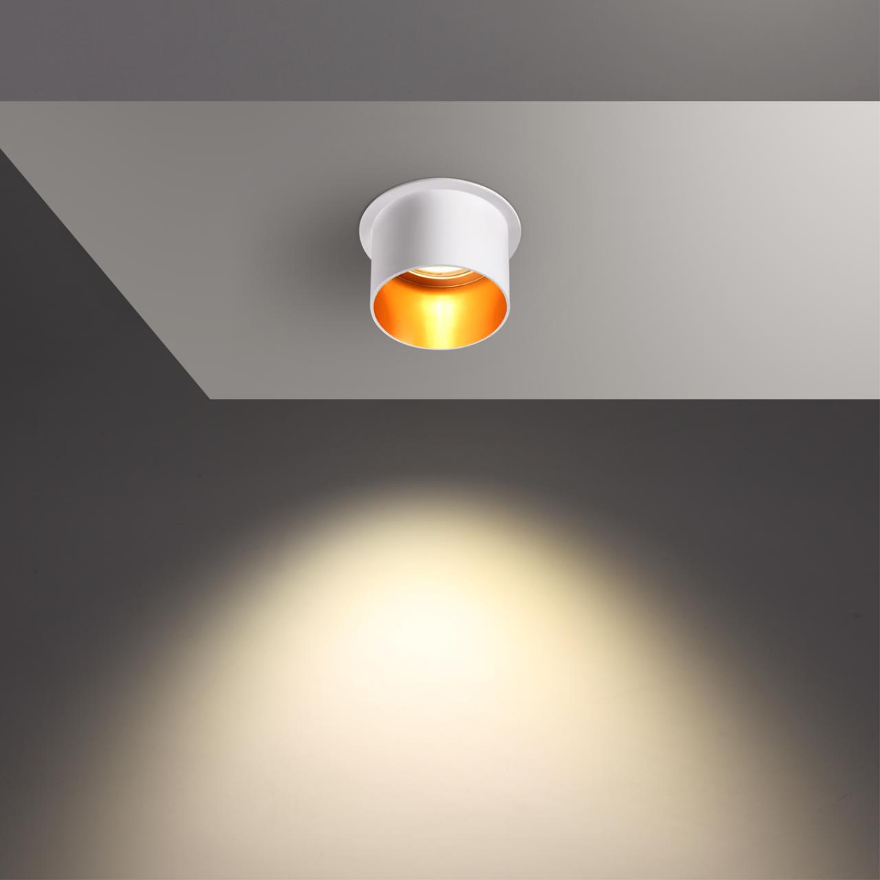 370432 Novotech