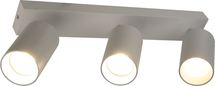 BR08091 Brizzi