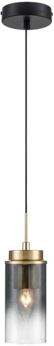 8101/1A